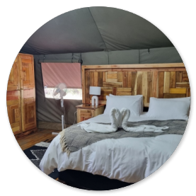 Luxurious furnished glamping tents 
